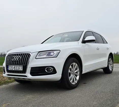 audi świętokrzyskie Audi Q5 cena 77800 przebieg: 125000, rok produkcji 2015 z Dzierzgoń